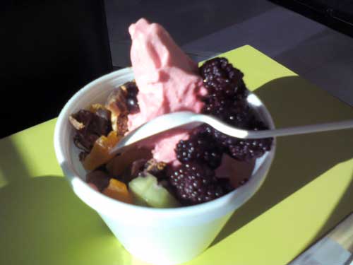 Yoggomix Frozen Yogurt - Sabores: Melancia, Kiwi, Frutas Vermelhas e Castanhas
