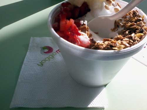 Yoggomix Frozen Yogurt - Sabores: Granola, Morango e Abacaxi